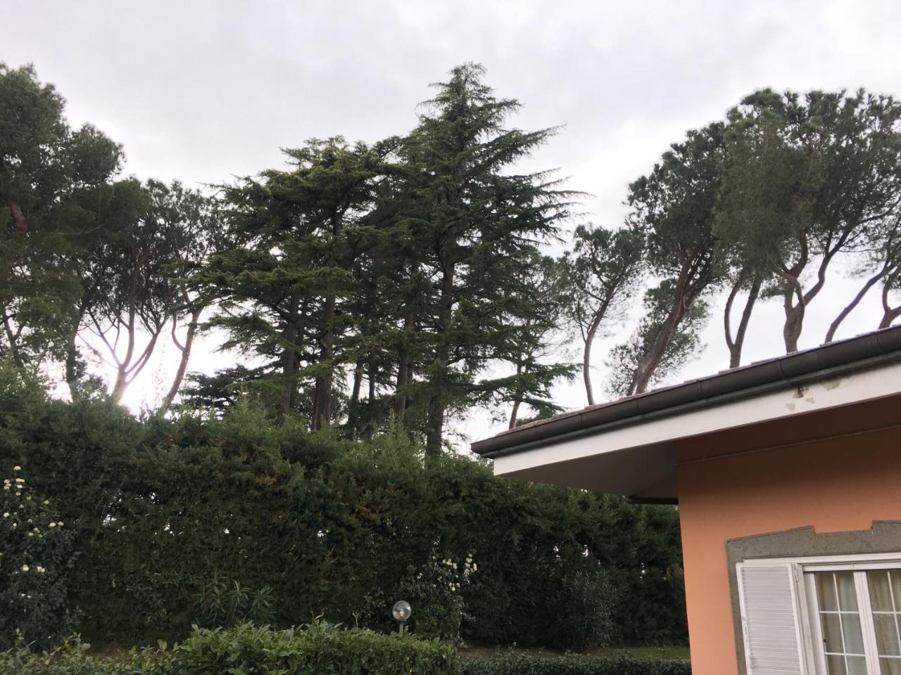 Villagio B&B Frascati Dış mekan fotoğraf